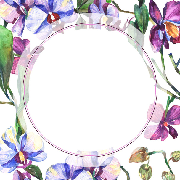 Wildflower orchid flower frame in a watercolor style. - Foto, Imagen