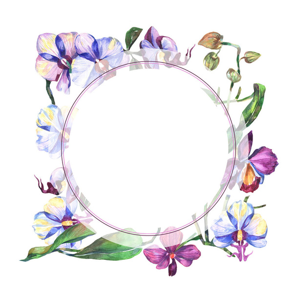 Wildflower orchid flower frame in a watercolor style. - Foto, Imagem