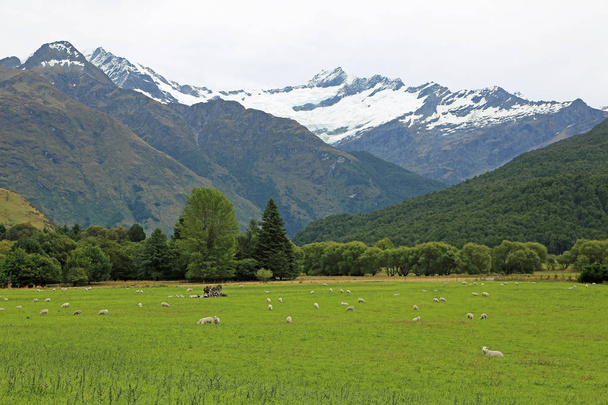 The pasture and Rob Roy glacier - Photo, Image