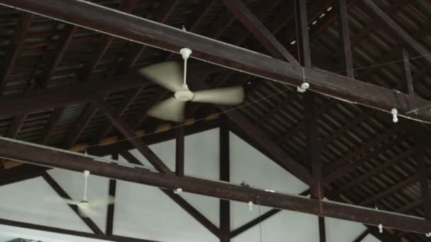 View on multiple ceiling fans blowing air - Кадри, відео