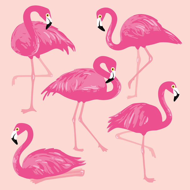 Set de vectores con flamencos rosados. Ilustración dibujada a mano
 - Vector, imagen