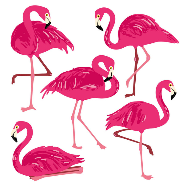Vector set with pink flamingos. Hand Drawn illustration - Vecteur, image