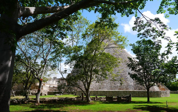 Rovine umili maya Cultura piramidale Messico Yucatan
  - Foto, immagini