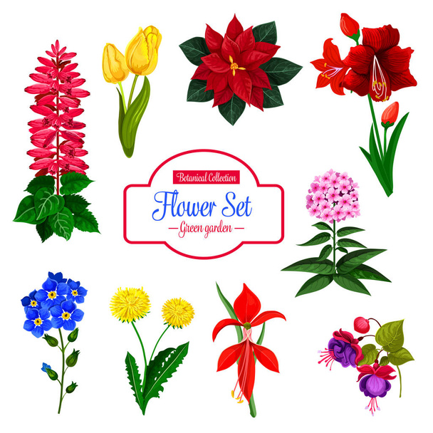 Flor, jardim floração planta isolado ícone conjunto
 - Vetor, Imagem