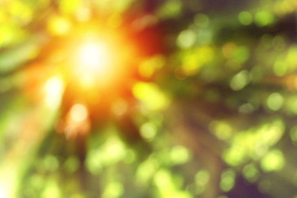 abstraktní pozadí rozmazané zelené přírody s paprsek slunečního světla - Fotografie, Obrázek