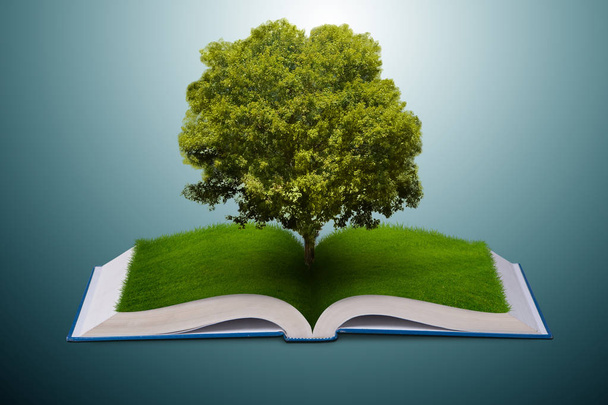 Open book in paper recycling concept - 3d rendering - Photo, Image