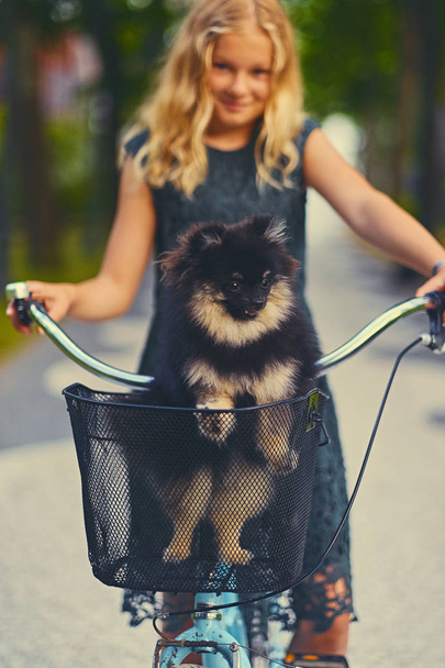 Blondes Mädchen mit Spitzhund im Korb - Foto, Bild