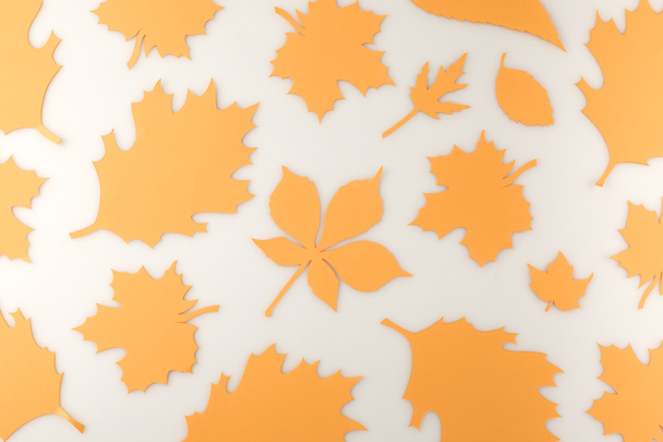 composición de varias hojas de otoño
 - Foto, Imagen