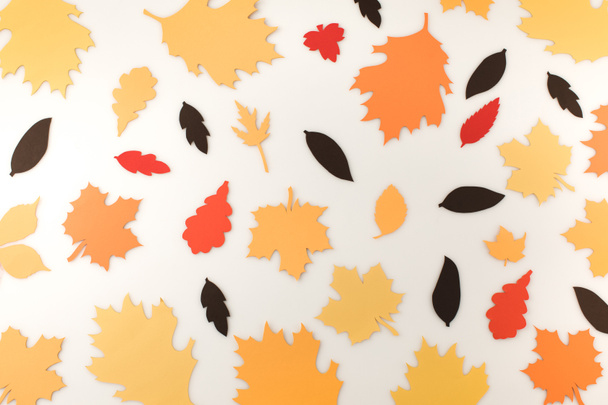 verschillende herfst bladeren - Foto, afbeelding
