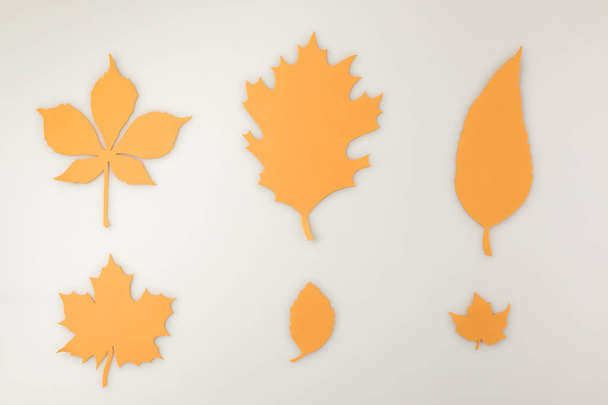 verschillende herfst bladeren - Foto, afbeelding