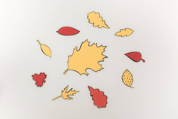 різні намальовані осінні листя
 - Фото, зображення