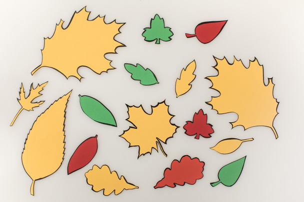 samenstelling van getekende herfst bladeren - Foto, afbeelding
