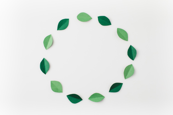 marco redondo de hojas de papel verde
 - Foto, imagen