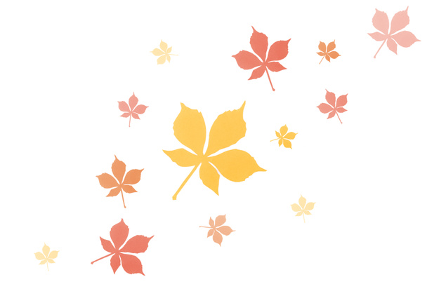 őszi levelek összetétele - Fotó, kép
