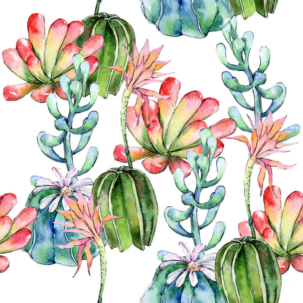 Fiori di campo cactus modello di fiore in stile acquerello
. - Foto, immagini