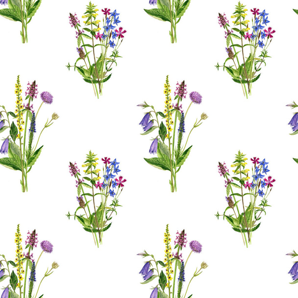 seamless pattern with flowers and plants - Zdjęcie, obraz
