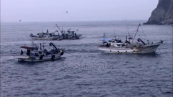 pêcheurs flottant sur des bateaux de pêche
  - Séquence, vidéo