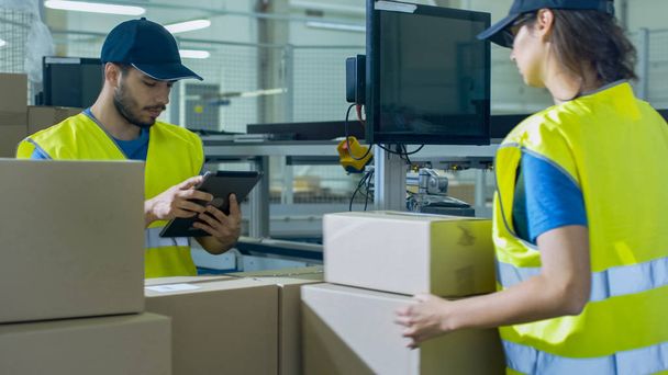 Post Sorting Center Worker Puts Cardboard Boxes on Belt Conveyor - Photo, Image