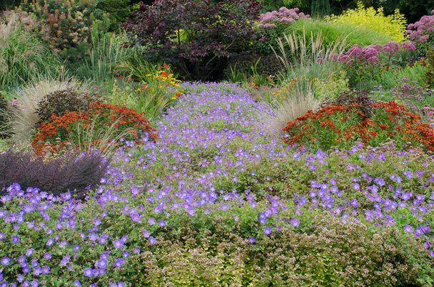 Tradiční anglické zahrady s trvalek v hranicích - Fotografie, Obrázek