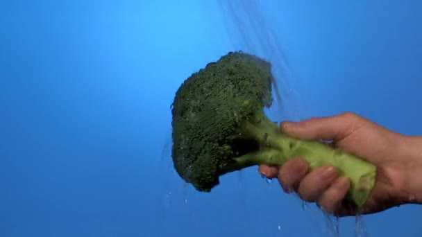 woman washing ripe broccoli  - Footage, Video
