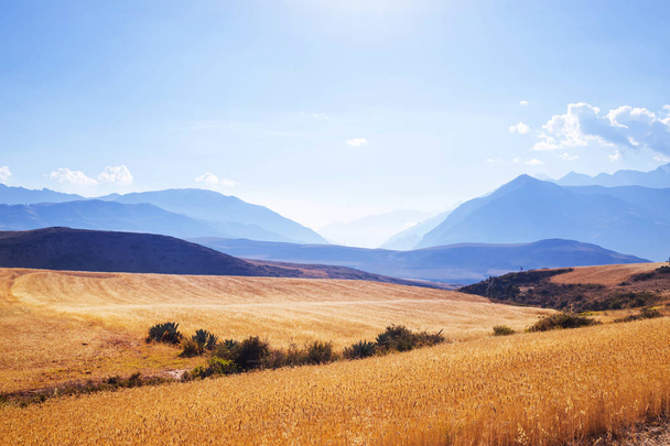 Pampas landscapes in  Cordillera de Los Andes - Fotografie, Obrázek