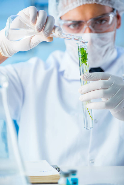 Biotechnology concept with scientist in lab - Φωτογραφία, εικόνα