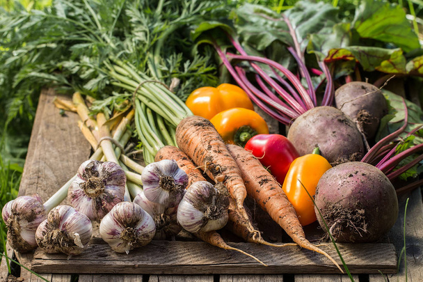 Healthy Organic Vegetables on a Wooden Background - Fotografie, Obrázek