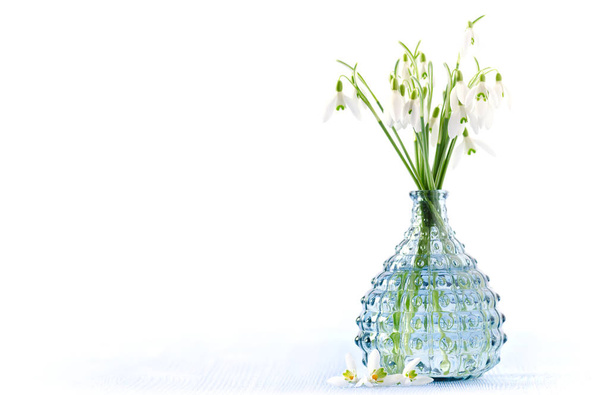 bouquet of fresh snowdrops flowers in a glass vase on white background - Фото, зображення