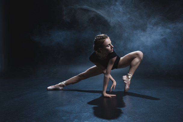 ballerine dansant en pointe et justaucorps
 - Photo, image