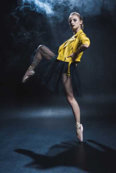 stylish ballerina - Photo, image