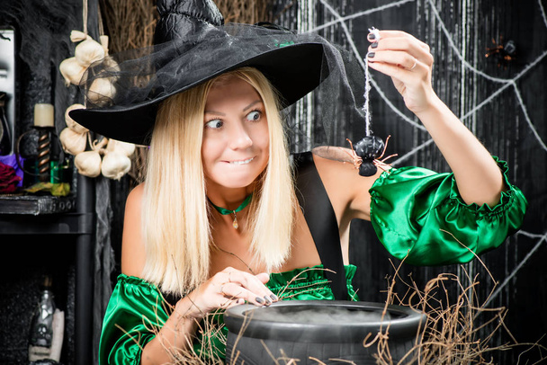 die Hexe mit Hut hält eine Spinne über einen Topf mit Tränken - Foto, Bild