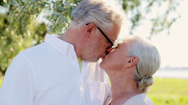 happy senior couple kissing at summer park - Video