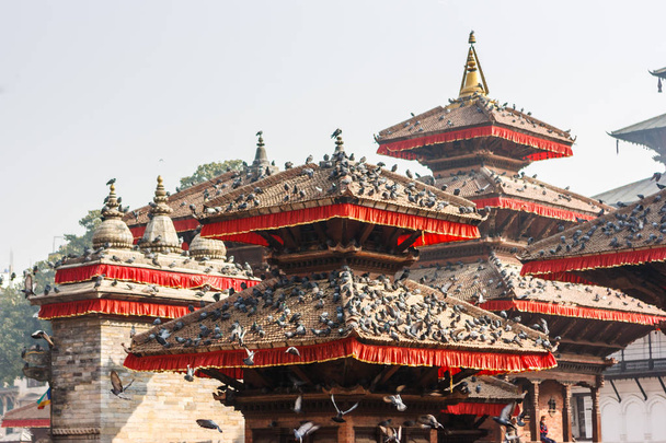 Templi della piazza Durbar di Kathmandu, ricoperti di piccioni
 - Foto, immagini