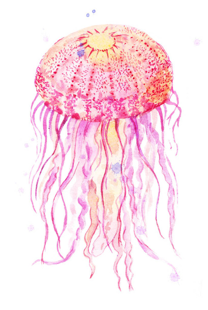 Jellyfish watercolor illustration - Fotoğraf, Görsel