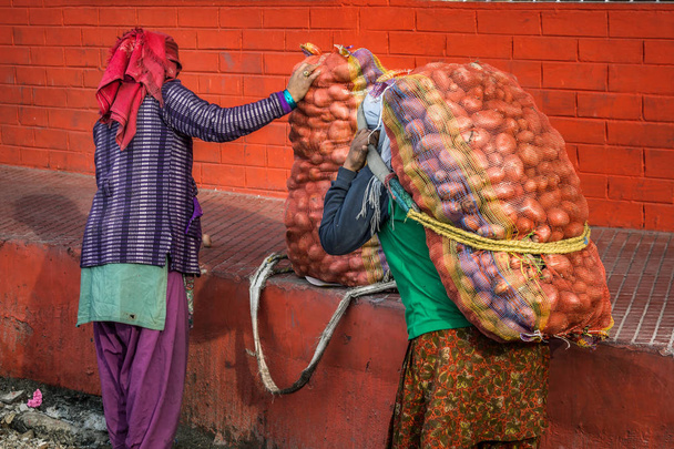 Kaksi naista kuljettaa perunasäkkejä Darjeeling, Intia
. - Valokuva, kuva