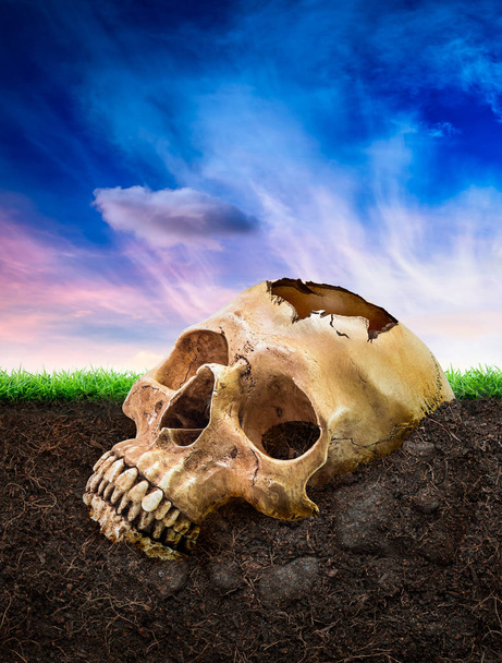 Crânio humano quebrado enterrar subterrâneo
 - Foto, Imagem