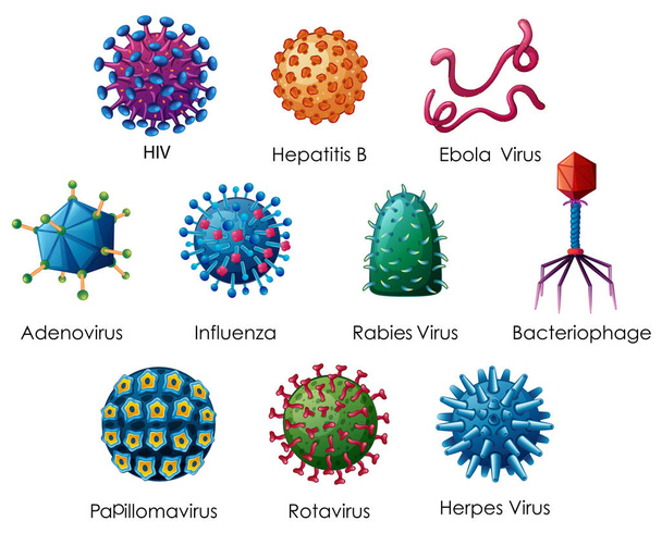 Διάγραμμα που δείχνει διάφορα είδη ιών - Διάνυσμα, εικόνα