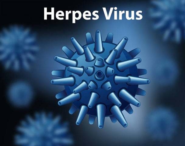 Primer plano del virus del herpes
 - Vector, imagen