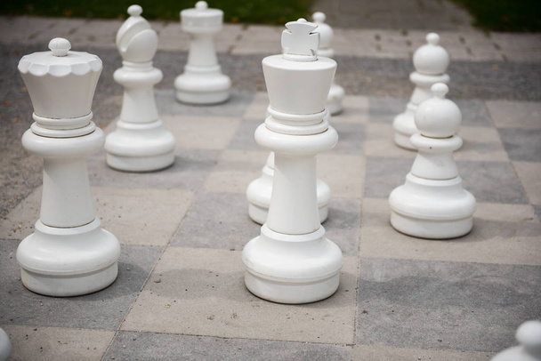 Schachfiguren auf einem Spielfeld mit Anfangsteil - Foto, Bild