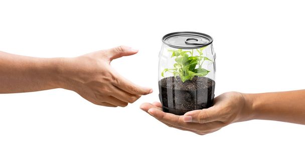 Дайте растение в банку
 - Фото, изображение