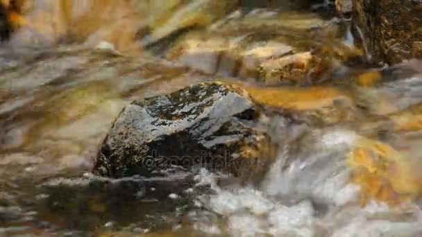 岩から滴り落ちる水。音で - 映像、動画