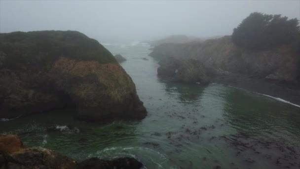 Letecký mlhavé severní Kalifornie pobřeží - Záběry, video