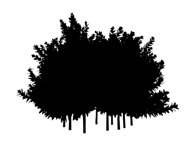3d renderöinti siluetti puu eristetty valkoisella pohjalla
 - Valokuva, kuva