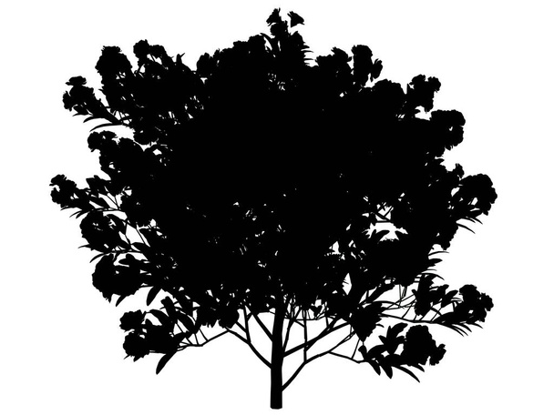 τρισδιάστατη απεικόνιση του ένα δέντρο σιλουέτα που απομονώνονται σε λευκό φόντο - Φωτογραφία, εικόνα
