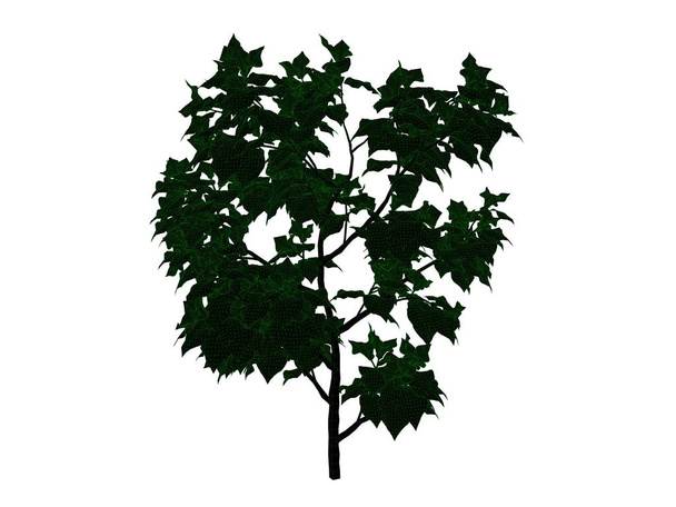 Rendering 3d di un albero nero delineato con bordi verdi isolati
 - Foto, immagini
