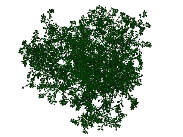 3D-leképezés egy tagolt fekete fa, zöld, elszigetelt szélekkel - Fotó, kép