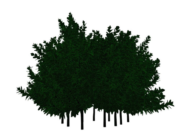 renderowania 3D kontur drzewa czarne z zielonym krawędzie na białym tle - Zdjęcie, obraz