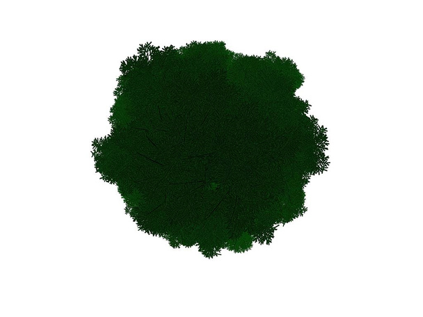 3D-Rendering eines umrissenen schwarzen Baumes mit grünen Rändern isoliert - Foto, Bild