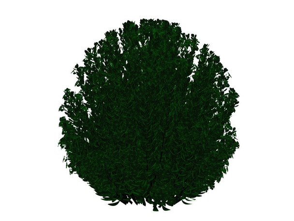 分離された緑のエッジの輪郭を描かれた黒いブッシュの 3 d レンダリング - 写真・画像