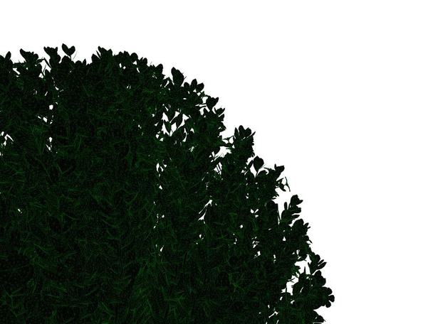 3d визуализация черного куста с изолированными зелеными краями
 - Фото, изображение